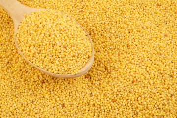 Millet and wooden spoon close up