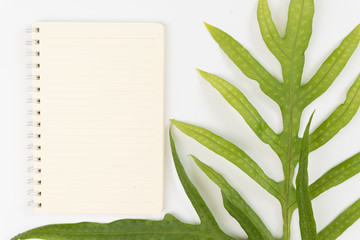 Blank notebook,pencil and Wart fern leaf on white background