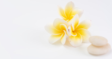 Beautiful Plumeria flower and white zen stone with space for text,spa concept