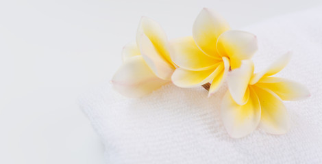 White rolled towel decoration with Frangipani flowers spa object on white background