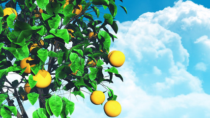 3D fruit tree against blue sky