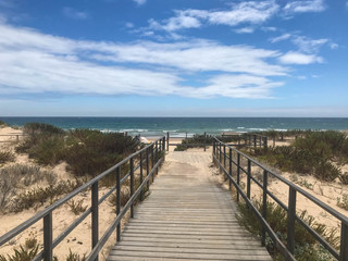 Fototapeta premium path and wooden bridge to access white sand beach algarve portugal