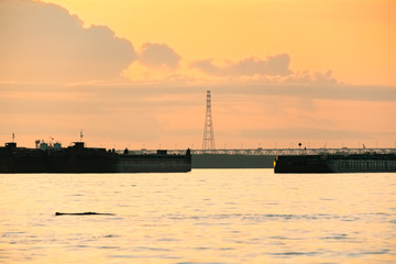 Fototapeta premium View of the Amur bridge in Khabarovsk during sunset. Russia, Far East.