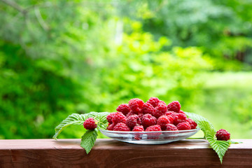 Raspberry berries on a wooden table. Summer mood. A treat. Green background.