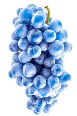 bunch of blue grapes