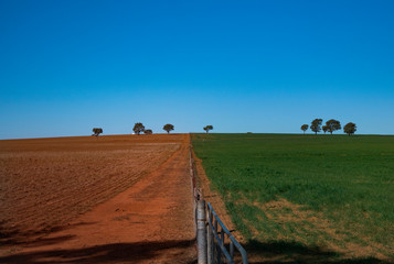 Drought red soil paddock with green field and fence