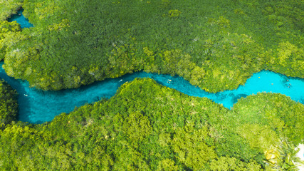 Aerial view of Casa Cenote in Tulum