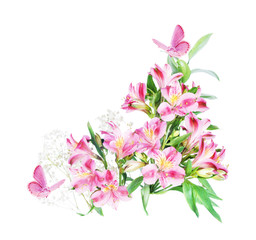 Alstroemeria flowers on a white background