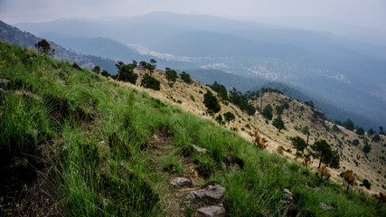 Fototapeta na wymiar Green and yellow layers at the Ajusco Mountain, Mexico