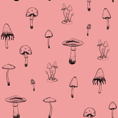 Autumn seamless pattern. Different types of poisonous mushrooms. Outline drawing on a pink background. Gentle botanical wallpaper. Decorative digital drawing. Vintage style.