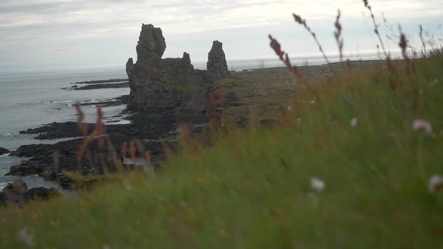Looking through a field of green grass and daisy's to a rocky coastline with gentle waves rolling in.