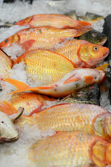 Auf einem Strassenmarkt in Thailand
