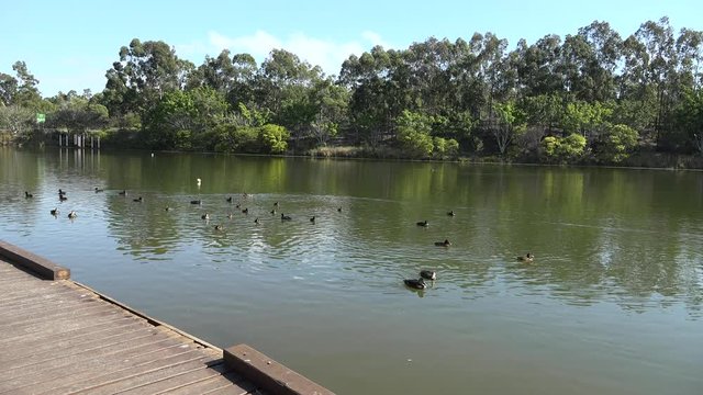 Springfield Lakes in Ipswich City, Queensland, Australia during the day.