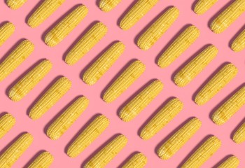 Many yellow corn cobs lie in a row on a pink background. Creative decorative composition. Modern Art. 3D rendering.
