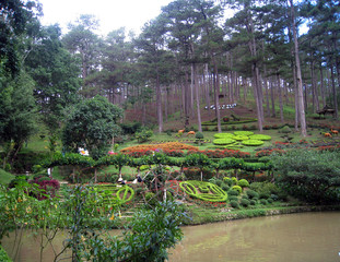 garden with flowers