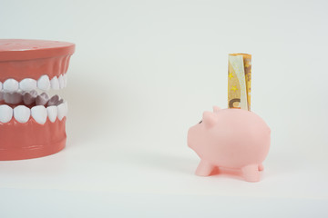 denture with piggy bank and money, isolated white background