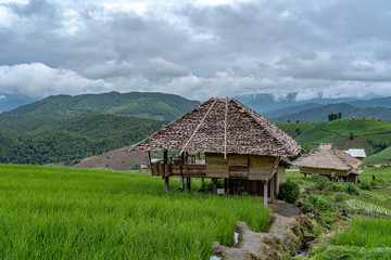 Fototapeta na wymiar The mountain on the green fields with the sky and cloud background, Chiang Mai rice terraces with the mountain and clouds in the rainy season, rice farming season.
