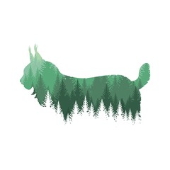 Wild lynx profile © Abundzu