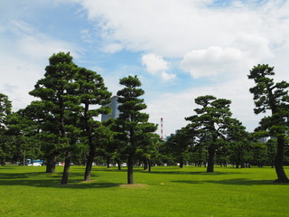 The imperial palace in Japan