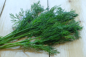 Fresh Dill