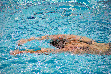 Nata&ccedil;&atilde;o