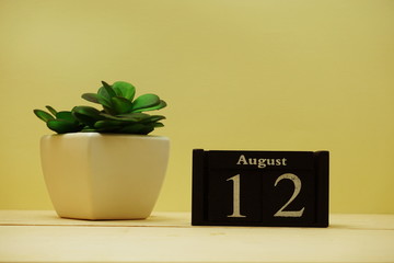 August 13th calendar wooden cube