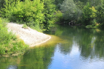 Beautiful sandy beach at bend of clear river among green trees and other green plants in summer in clear weather