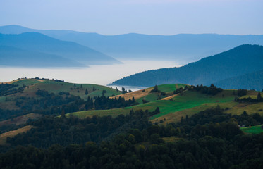 Obraz premium Fog in autumn, the mountains of the Carpathians in Ukraine