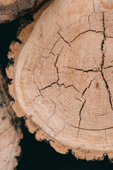 Wooden natural cut logs textured background, top view, flat lay