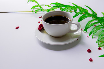 A cup of coffee on a white background And with fern leaves