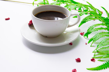 A cup of coffee on a white background And with fern leaves