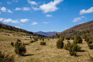 Fototapeta na wymiar Spring valley between mountains