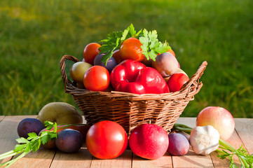Tomatoes, peppers, plums, apples and other vegetables and fruits in a wicker basket on a wooden table