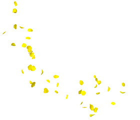 Yellow rose petals fly in a circle. The center free space for Your photos or text