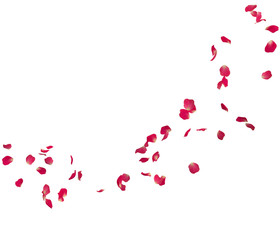 Red rose petals fly in a circle. The center free space for Your photos or text