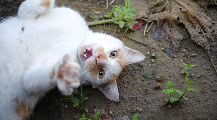 ぎゃー！！！