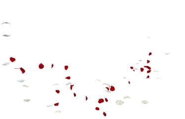 Red and white rose petals fall to the floor