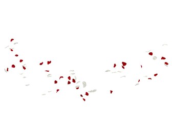 Red and white rose petals fall to the floor