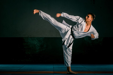 An image of a taekwondo martial arts master - obrazy, fototapety, plakaty