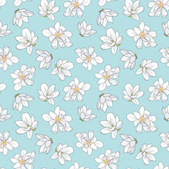Fototapeta premium White magnolia flowers on blue background seamless pattern design