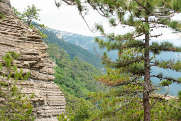 texture of the mountain. stone close up.