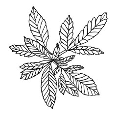 Vector Decorative branch of little hemp with leaves