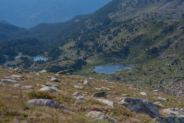 Fototapeta na wymiar Reflection at the lake in the circuit of Lake Pessons, Andorra.