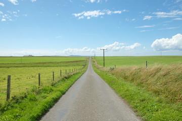 Fototapeta na wymiar A rural way to the horizon in Orkney