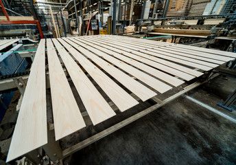 Production line of the wooden floor factory. CNC automatic woodworking machine.