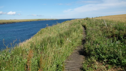 Fototapeta na wymiar Foot path on a cliff in Westray, Orkney