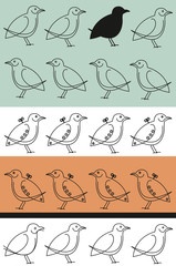 birds