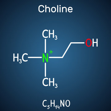 Choline vitamin-like essential nutrien molecule. It is a constituent of lecithin. Structural chemical formula on the dark blue background
