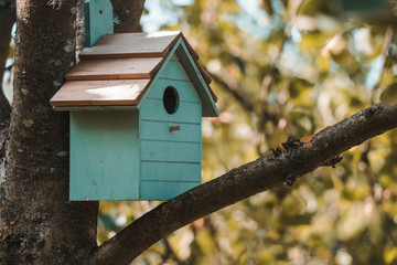 Wooden blue birdhouse on a apple tree in the farm park zone. Simple birdhouse design. Shelter for bird breeding, nesting box on a tree