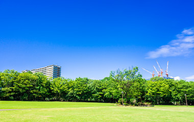 青空が広がる住宅街の公園